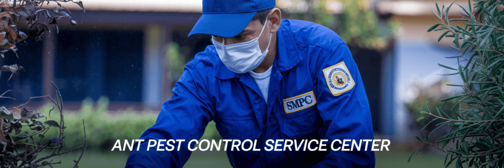 Ant Pest Control Service Center