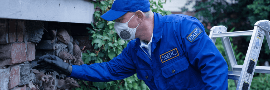 Pest Control Service Center Maintenance Packages